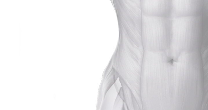 Front Abdomen