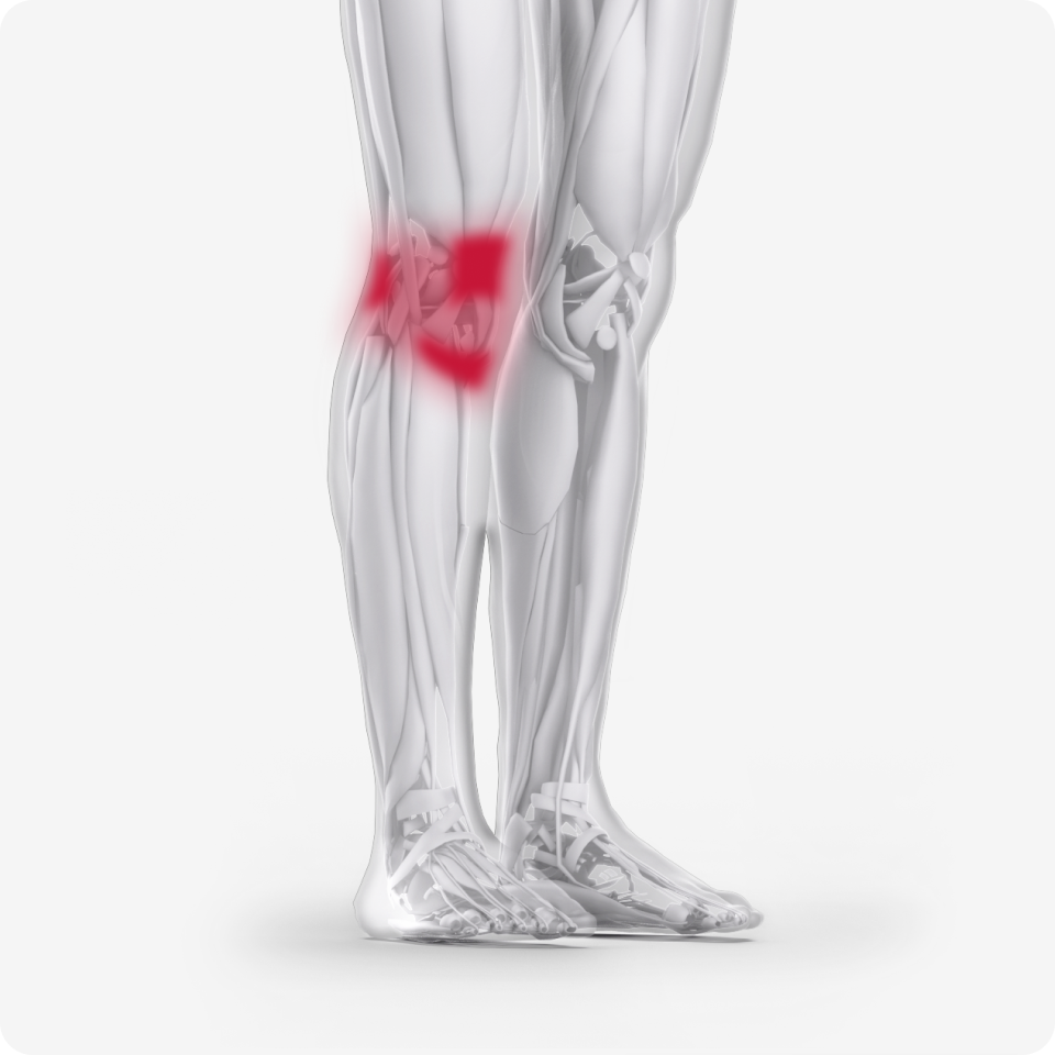 Knee